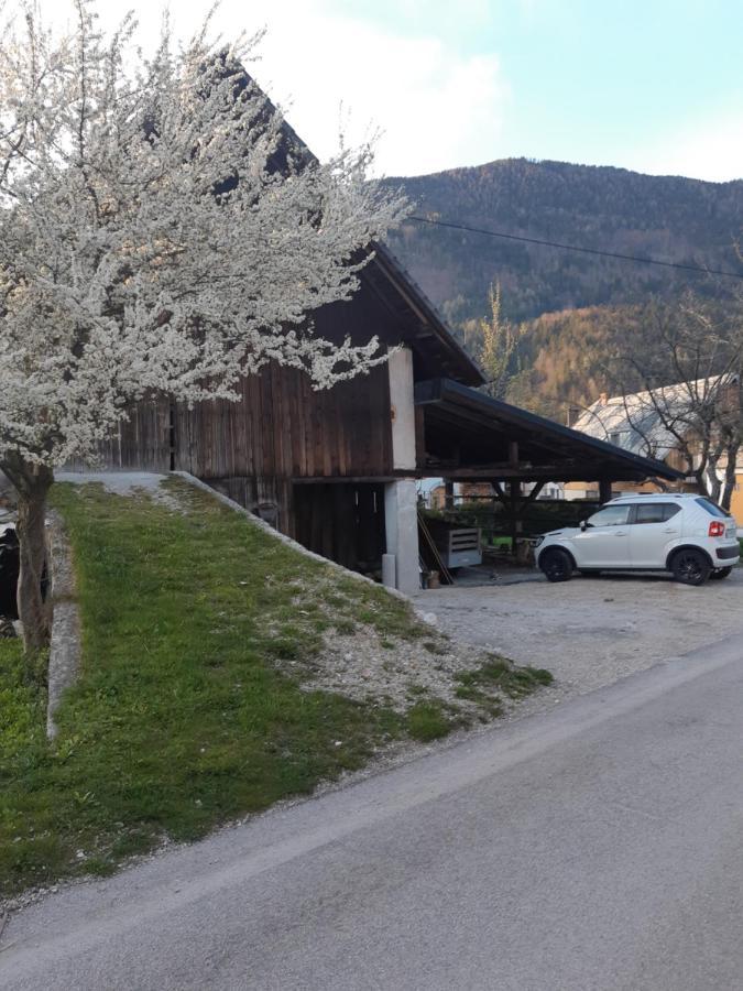 Ferienwohnung Alpska Roza Kranjska Gora Exterior foto