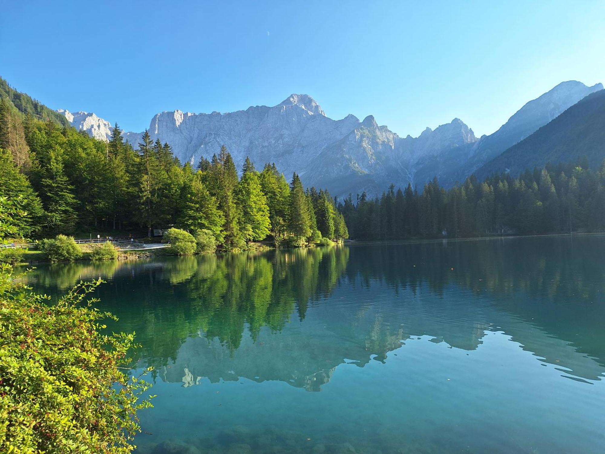 Ferienwohnung Alpska Roza Kranjska Gora Exterior foto