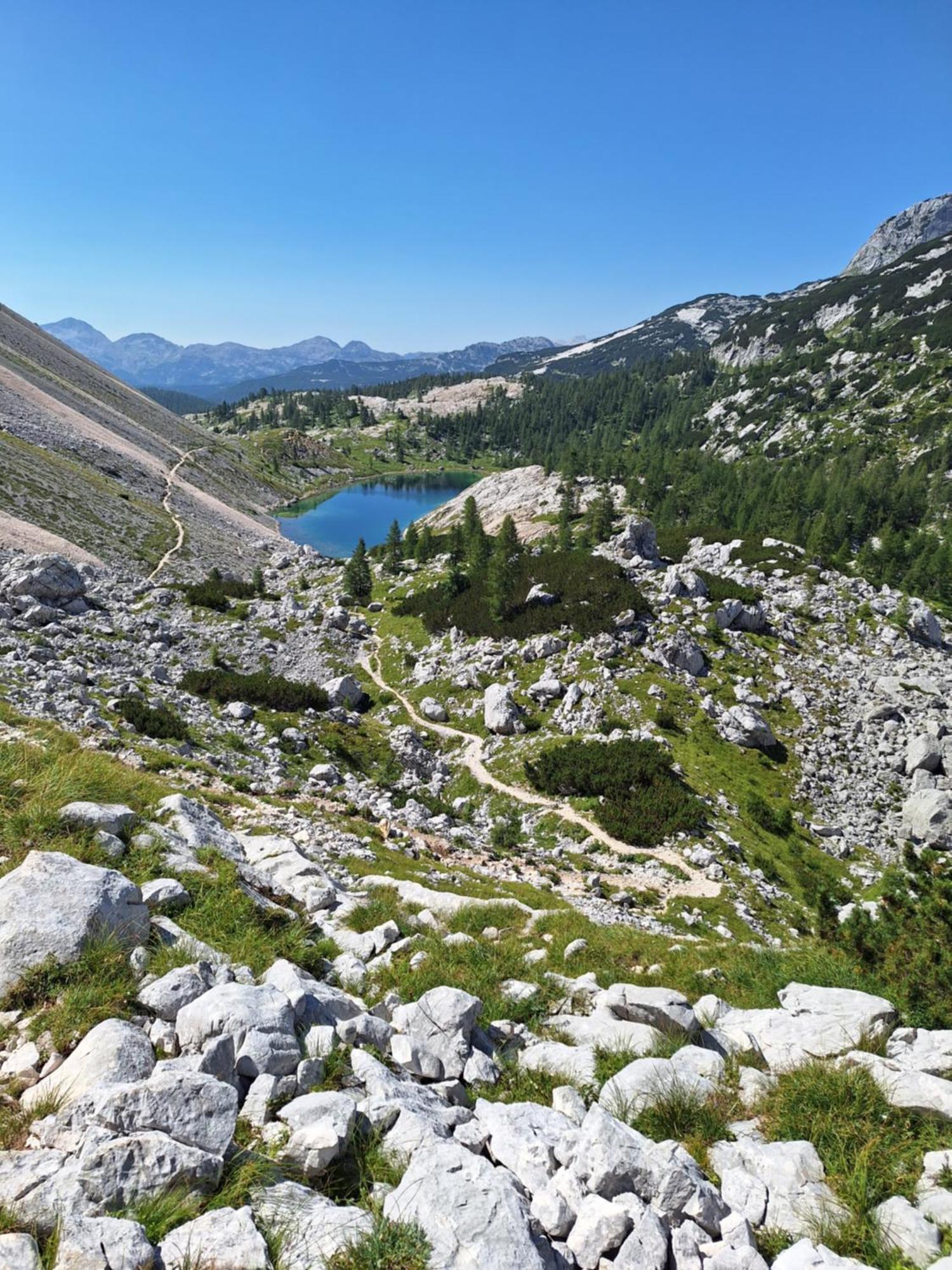 Ferienwohnung Alpska Roza Kranjska Gora Exterior foto